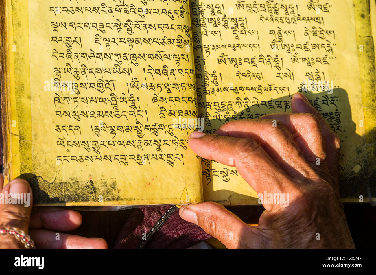 Tibetean lire moine les saintes écritures dans tibetean langue au pied du stupa boudnath Banque D'Images
