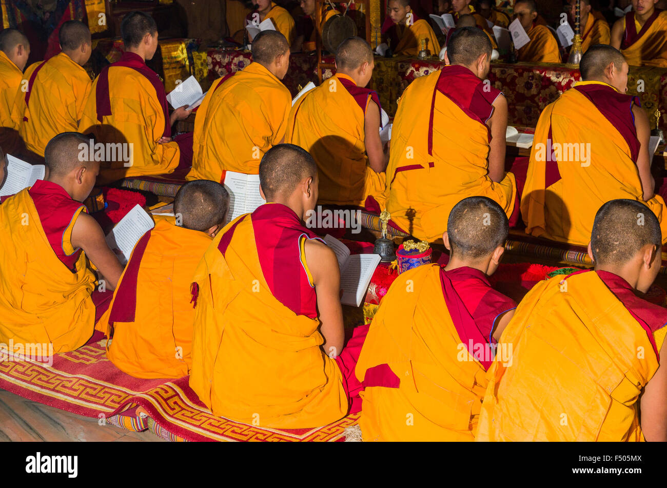 Les jeunes moines tibetean lire les Saintes écritures en langue tibétaine dans un monastère près de stupa boudnath Banque D'Images