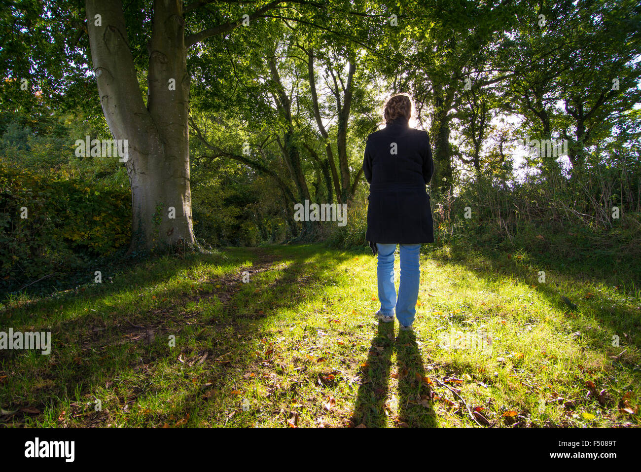 Femme debout dans les arbres qui se profile à l'automne la lumière du soleil. Banque D'Images