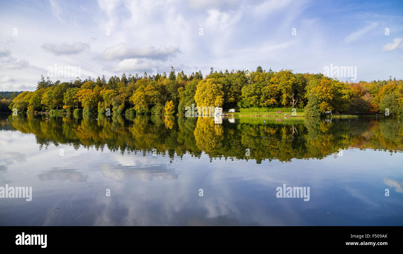 Crockerton, Wiltshire, Royaume-Uni. 25 octobre, 2015. Une magnifique journée de soleil d'automne met en lumière l'évolution de la couleur des arbres le long du bord de l'eau. Lac de Shearwater est caché dans la forêt de Longleat et fait partie du Safari park. Il est populaire auprès des visiteurs qui aiment marcher les voies bordées d'arbres, de pêche et de plaisance sur le lac. Credit : Wayne Farrell/Alamy Live News Banque D'Images