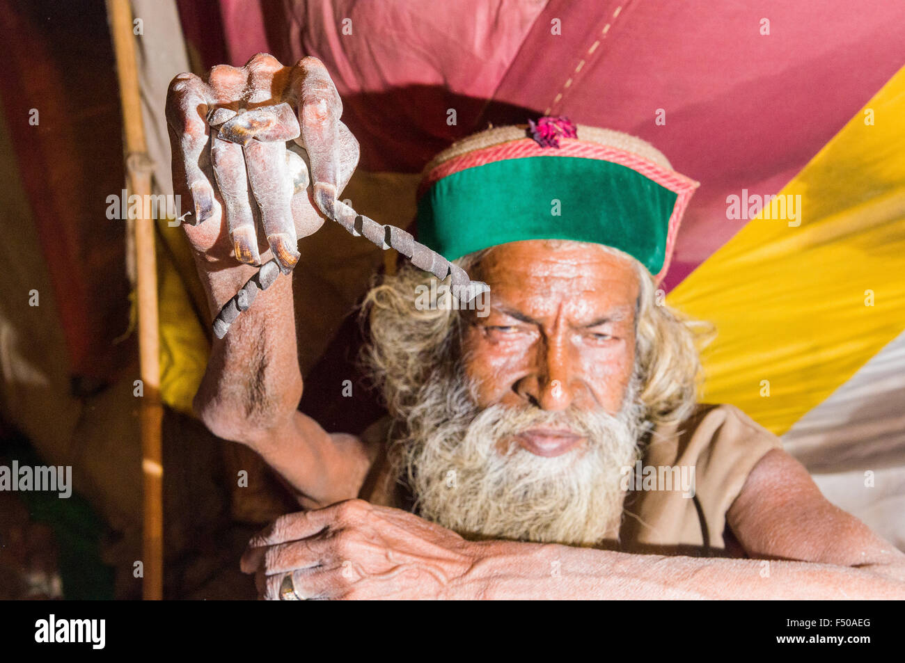Juna akhara shiva de sadhu, saint homme, la pratique de urdha tapa, bras de levage ohne depuis de nombreuses années pour raison spirituelle dans sa tente. Banque D'Images
