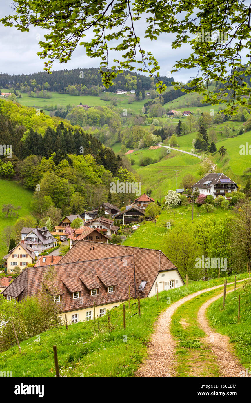 Paysage de printemps en Forêt-Noire, Bade-Wurtemberg, Allemagne. Banque D'Images