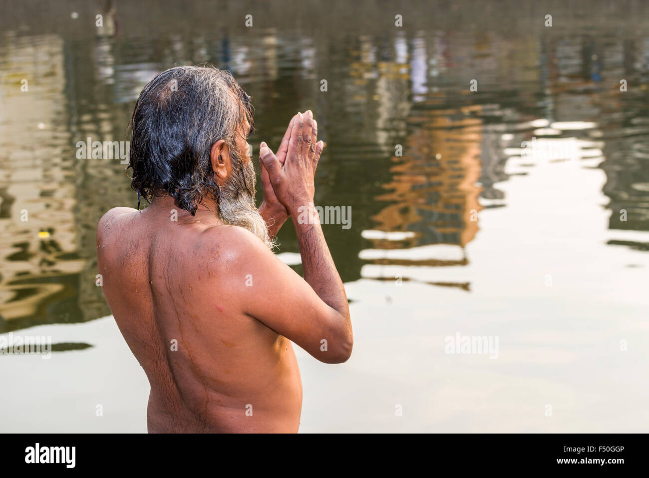 Un homme est en prière, debout dans l'eau du fleuve godwari Banque D'Images