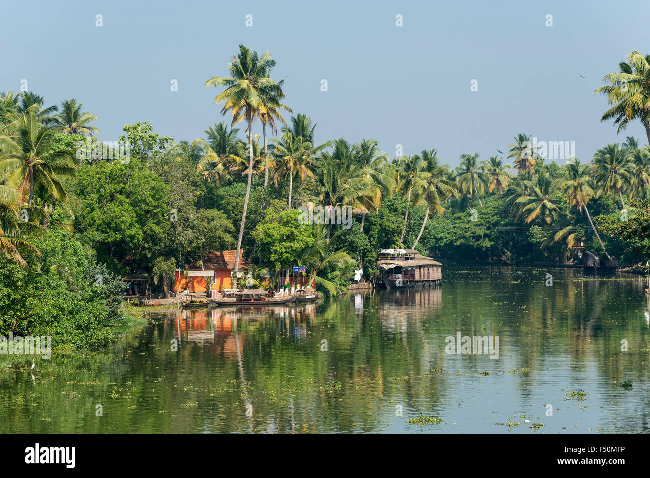 Un paysage typique avec de l'eau canal, de palmiers et de petites maisons dans keralas backwaters Banque D'Images