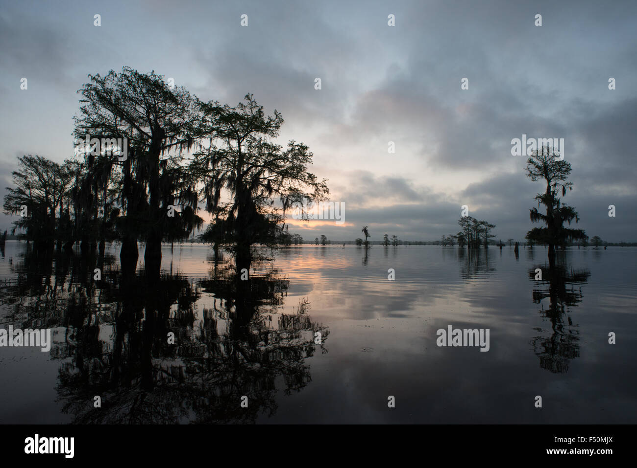 Lever du soleil dans le bassin Atchafalaya Banque D'Images