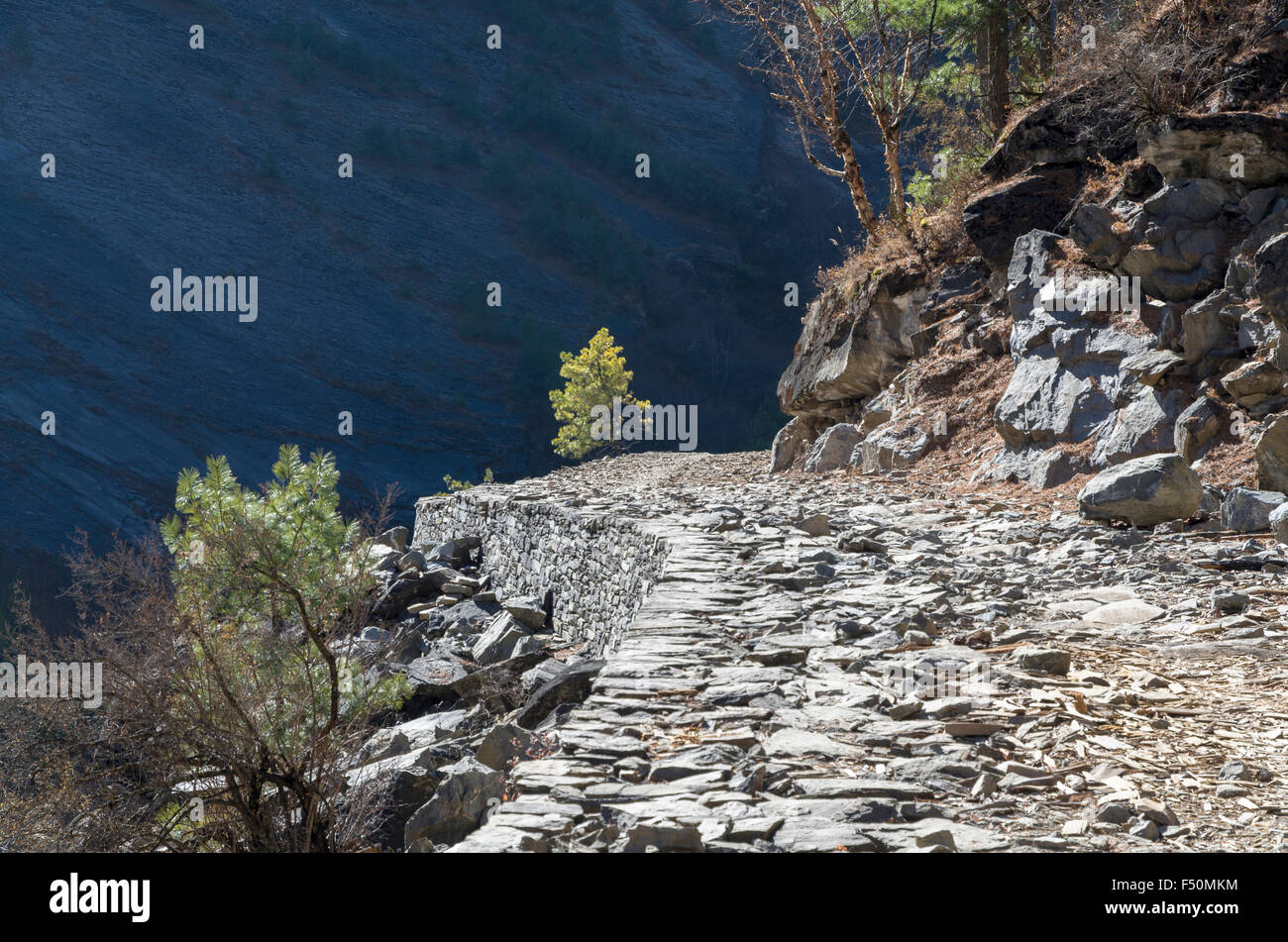 Nouvelle route dans la vallée de la Marsyangdi yuni, conduisant dangereusement le long d'une vallée escarpée Banque D'Images Nouvelle route dans la vallée de la Marsyangdi yuni, conduisant dangereusement le long d'une vallée escarpée Banque D'Images
