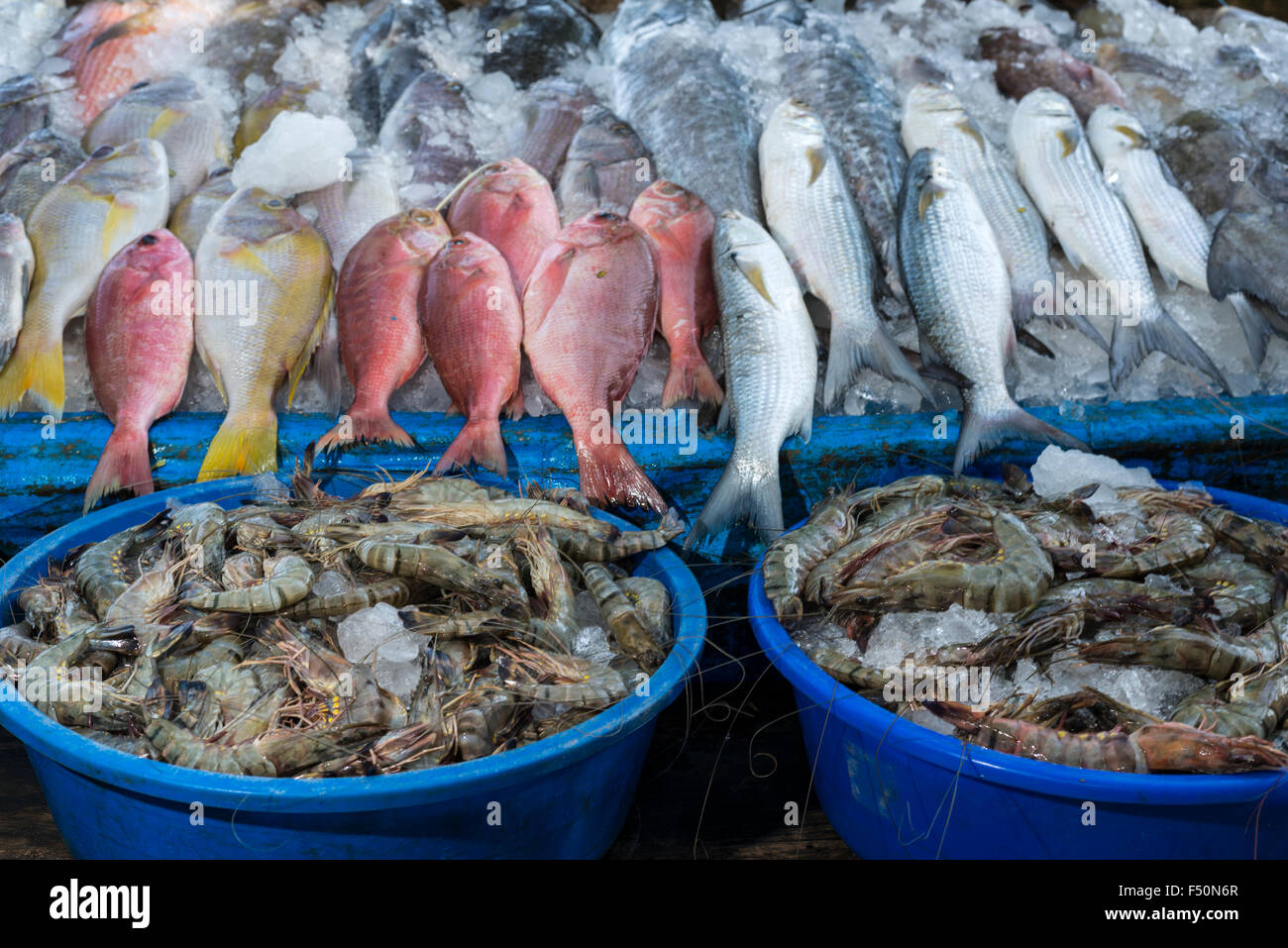 Le poisson, cought durant la journée par un filet de pêche chinois, est présenté à la vente Banque D'Images