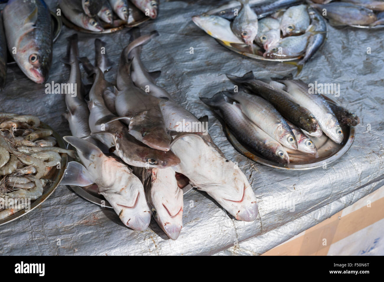 Le poisson, cought durant la journée par un filet de pêche chinois, est présenté à la vente Banque D'Images