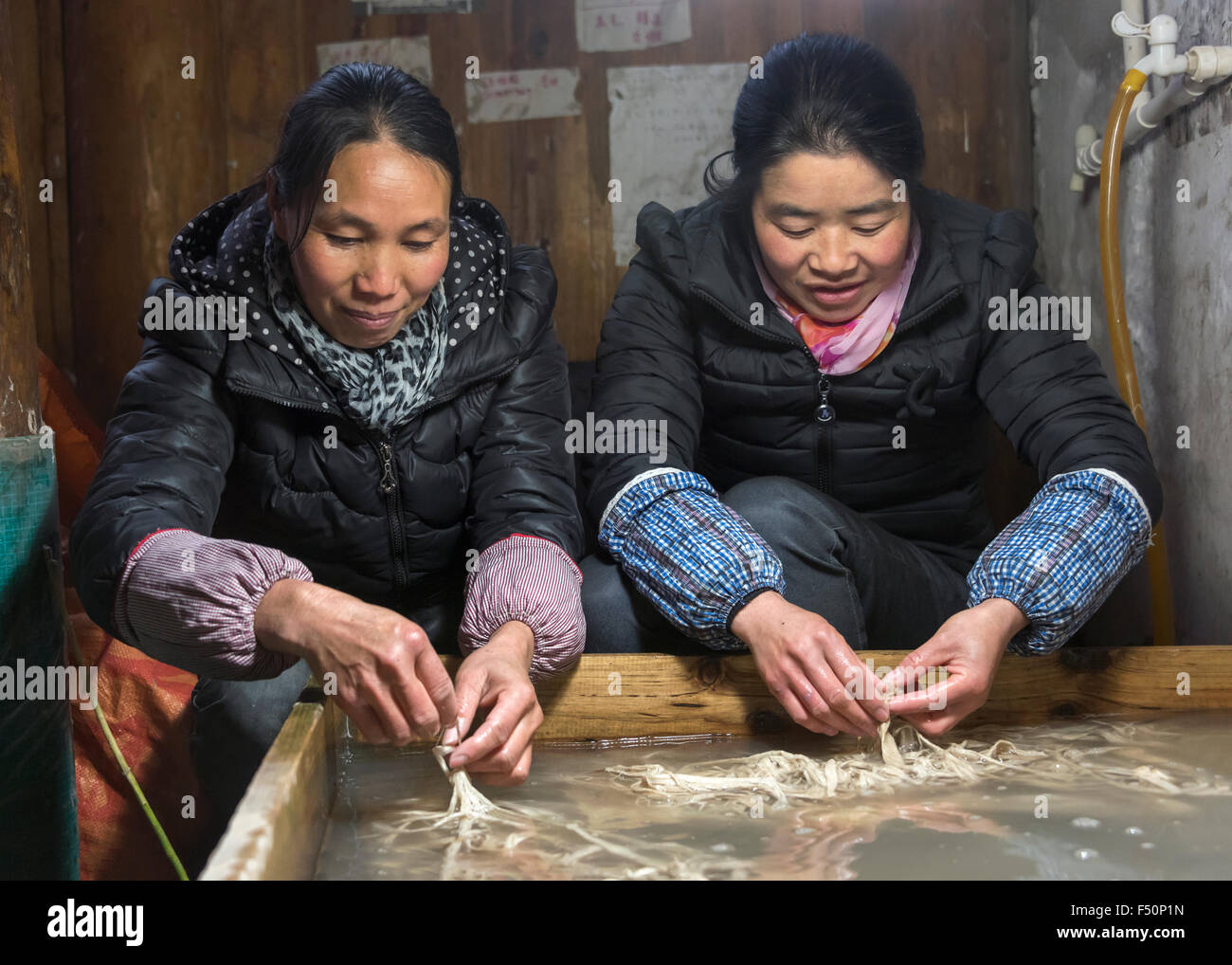 Les femmes composant l'écorce de mûrier papier, Shiqiao Village Miao, province de Guizhou, Chine Banque D'Images