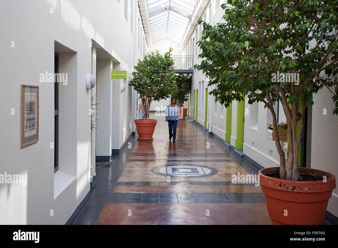UCT GSB student walking le long couloir avec des arbres en pot Banque D'Images
