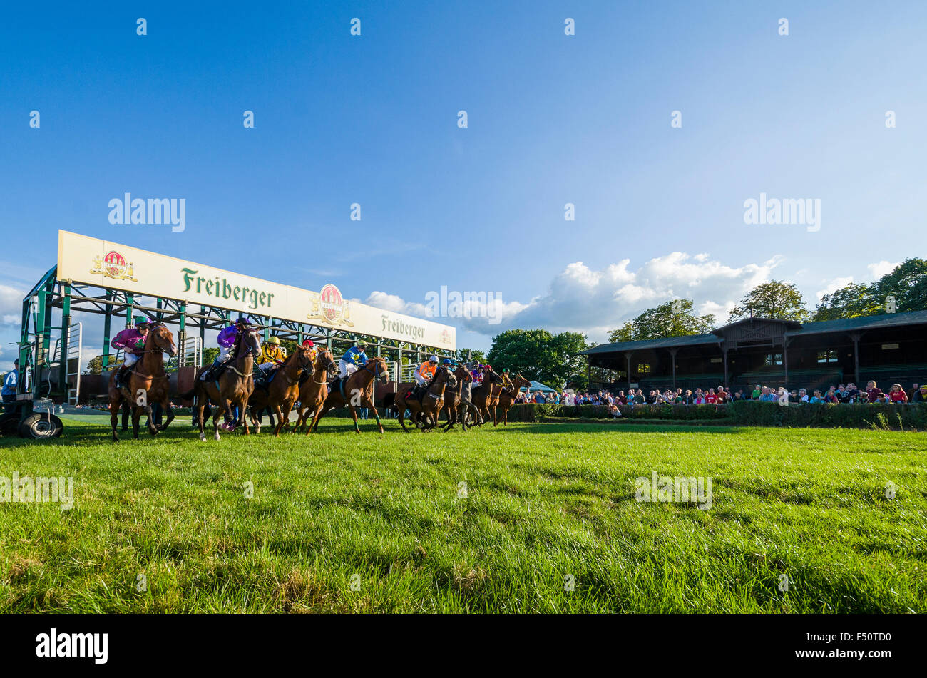 Chevaux jockeys avec juste de commencer la course hors de la startbox, vu de face Banque D'Images