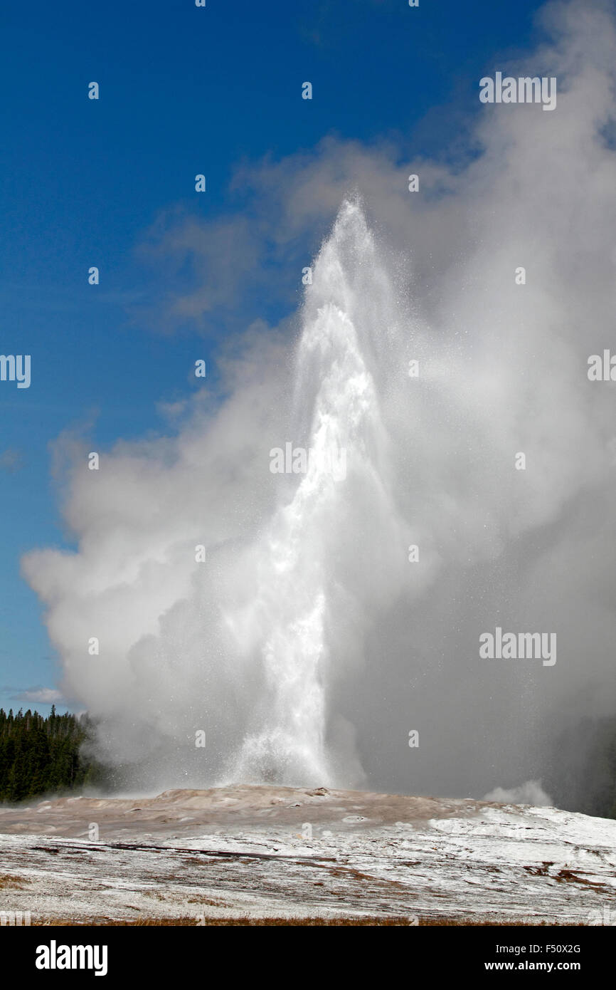 Old Faithful Geyser aller dans le Parc National de Yellowstone, Wyoming Banque D'Images