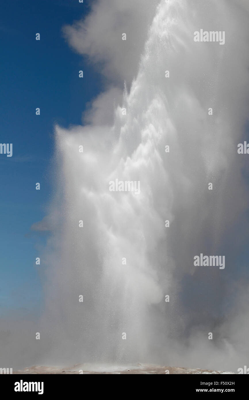 Old Faithful Geyser aller dans le Parc National de Yellowstone, Wyoming Banque D'Images