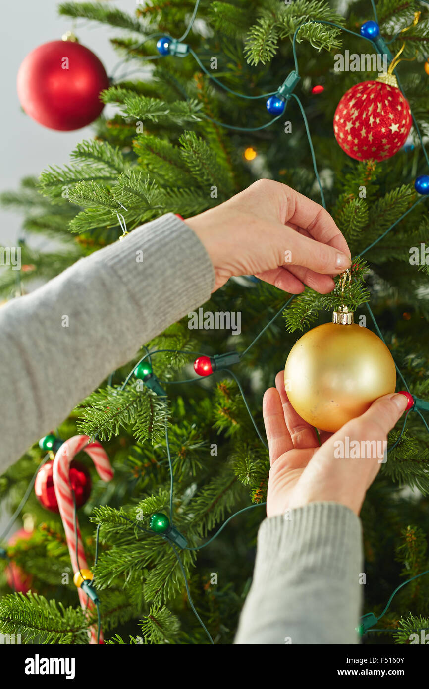 Human hand holding toy bulle sur branche de l'arbre de Noël décoré Banque D'Images