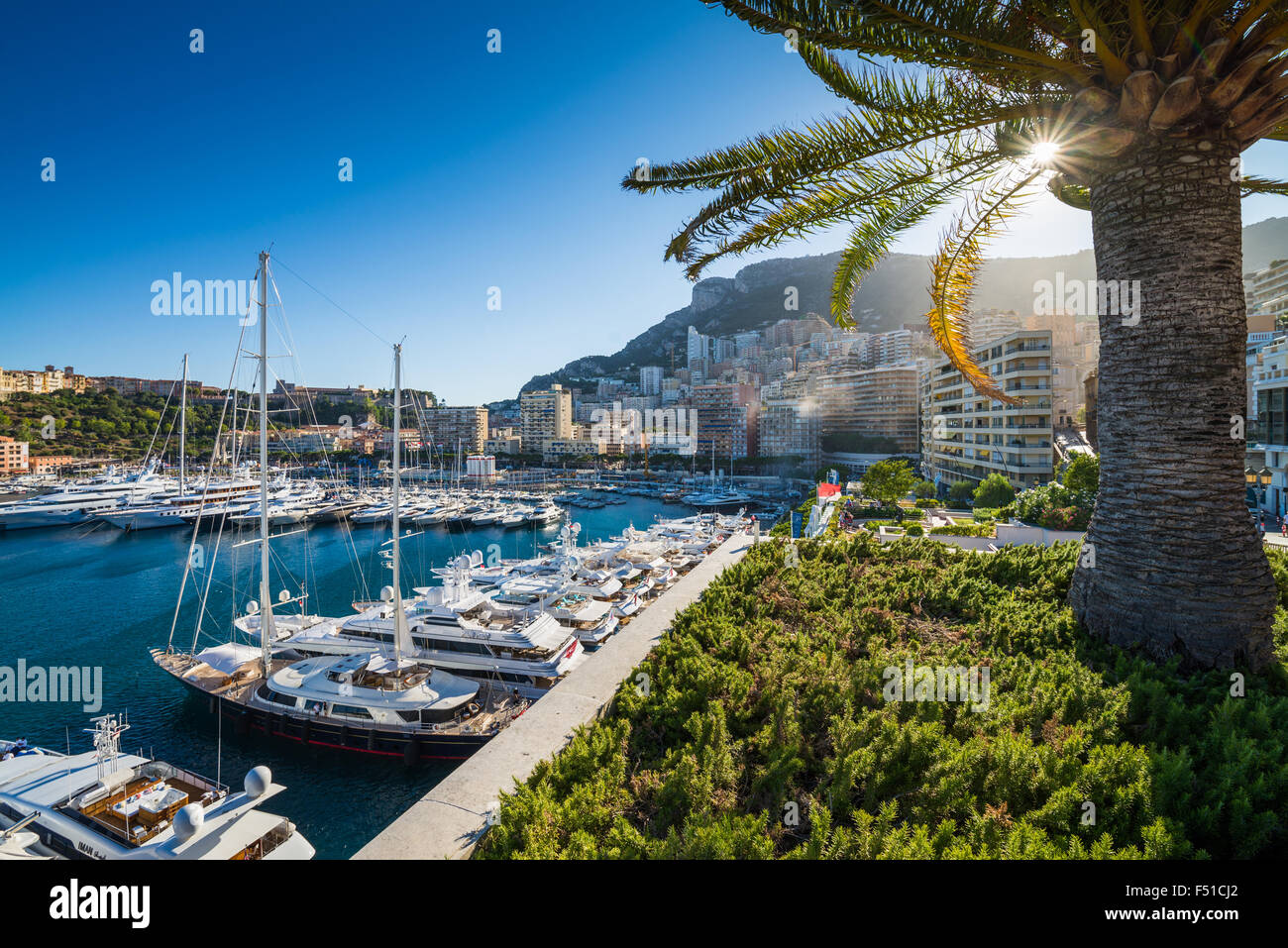 Bateaux disponibles dans le Port Hercule, Monte Carlo, Monaco. Banque D'Images
