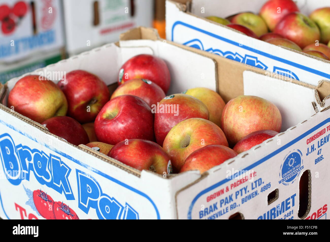 Les pommes en boîte en carton pour la vente au marché Photo Stock - Alamy