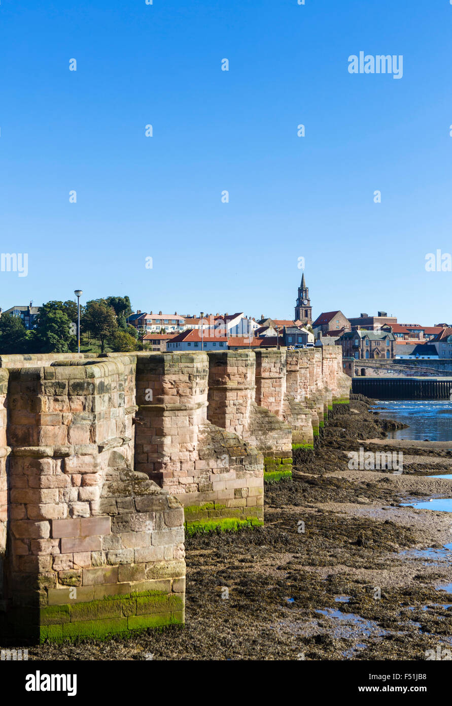 Le vieux pont à la direction du centre-ville, Berwick-upon-Tweed, Northumberland, England, UK Banque D'Images