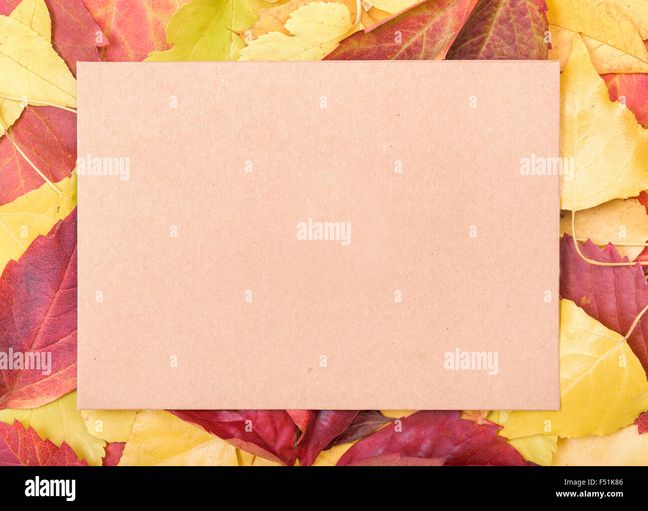 Sur une feuille de papier les feuilles d'automne. Banque D'Images