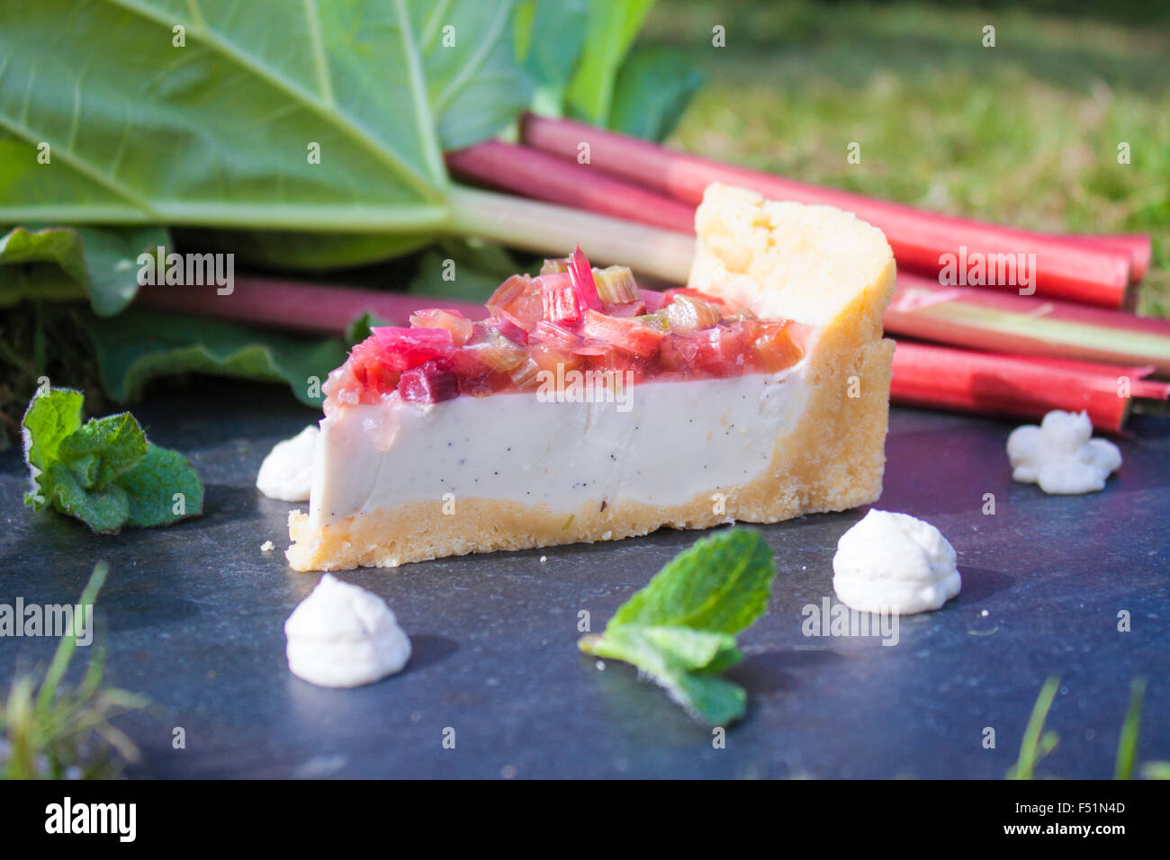 Tranche de gâteau à la rhubarbe,entre la rhubarbe, menthe et pannacotta, dans le jardin Banque D'Images