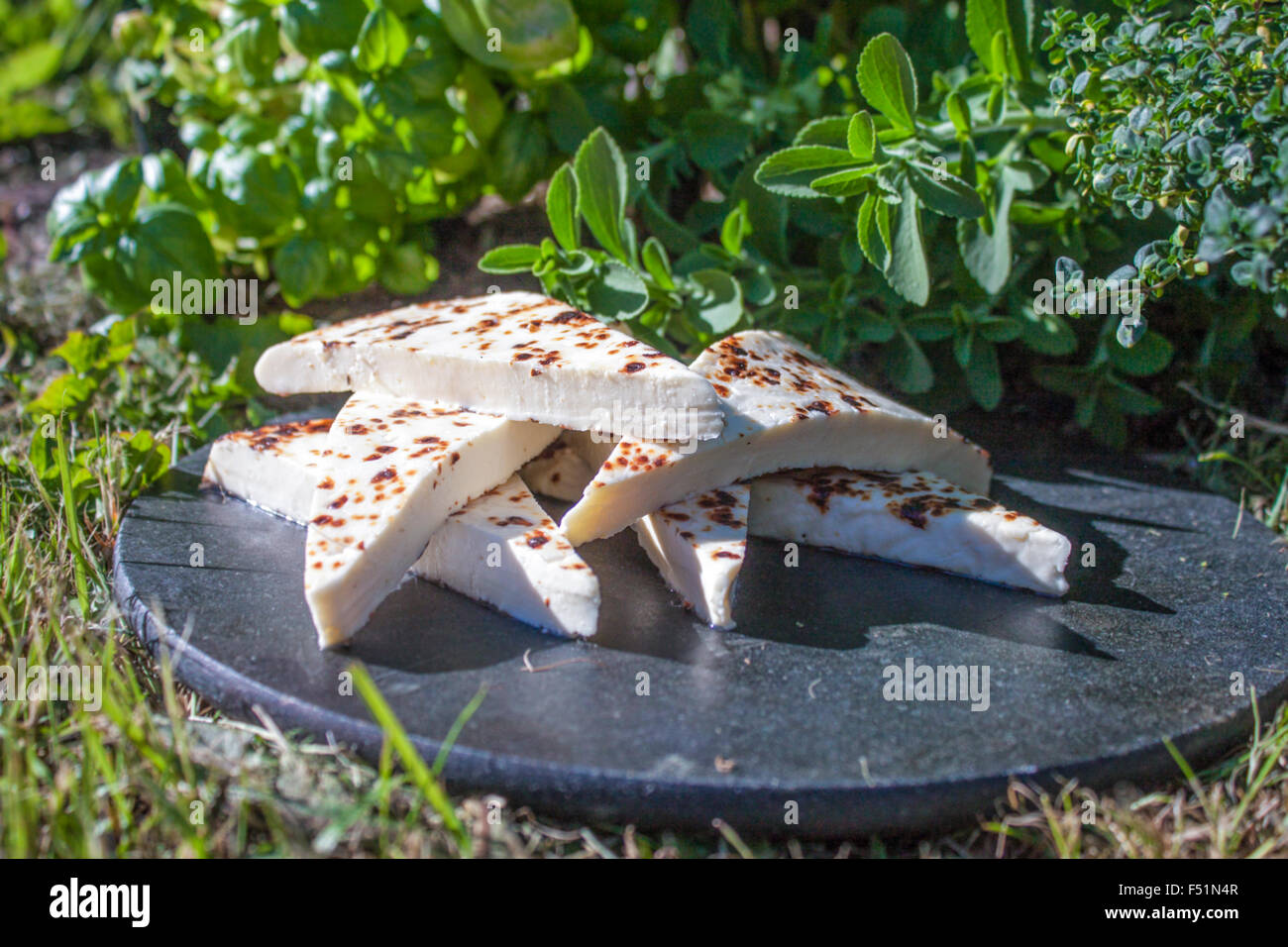 Un tas de fromage, grinçante Finlandais sur une plaque en pierre, dans le jardin Banque D'Images