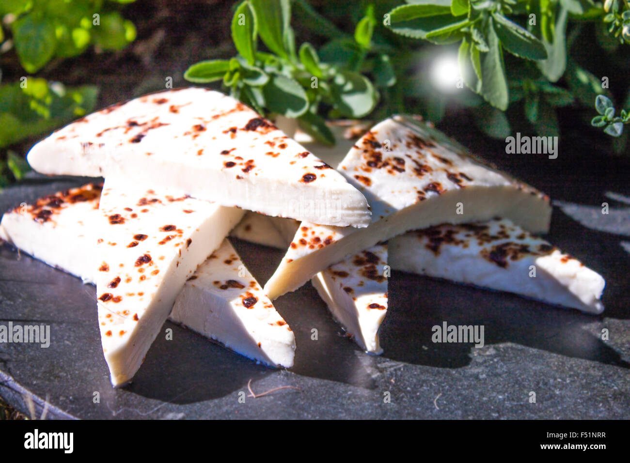 Fromage grinçant finlandais, en face d'herbes Banque D'Images