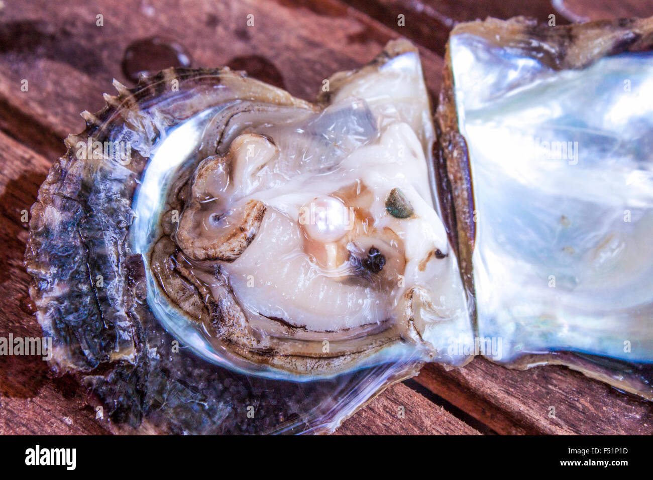 Pearl à l'intérieur d'une huître, à Phu Quoc, Vietnam Banque D'Images