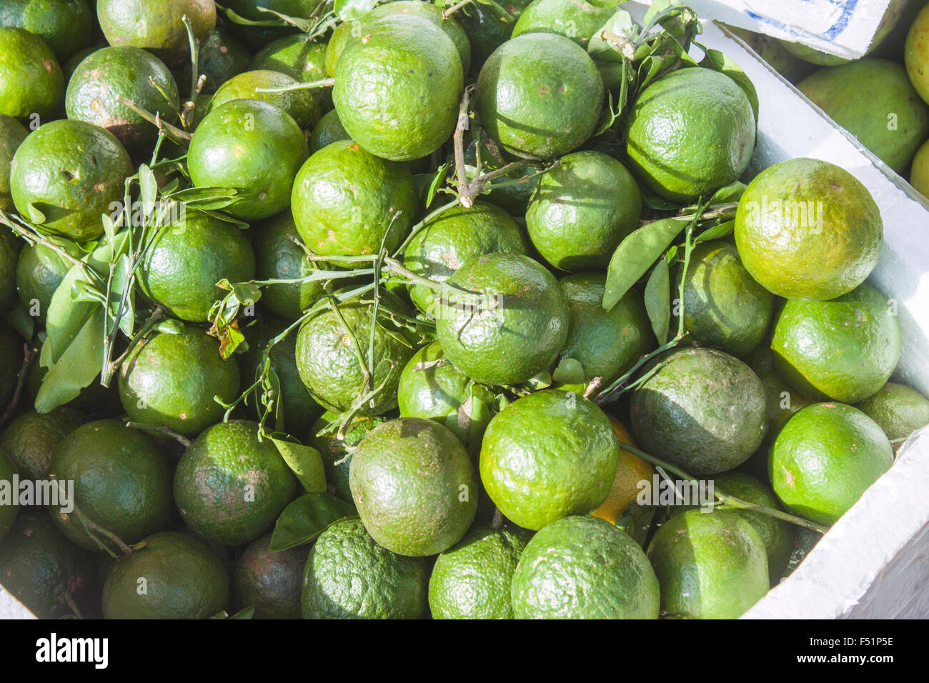Une pile de fruits vert lime, Citrus aurantifolia à un marché, à Phu Quoc, Vietnam Banque D'Images