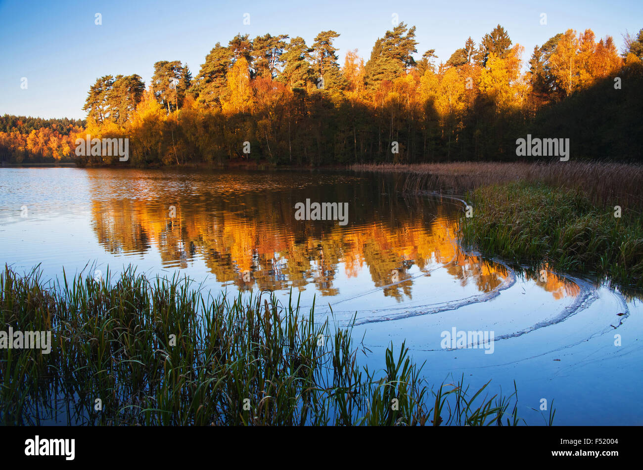 Herbstimpression suis Pinnsee, Banque D'Images