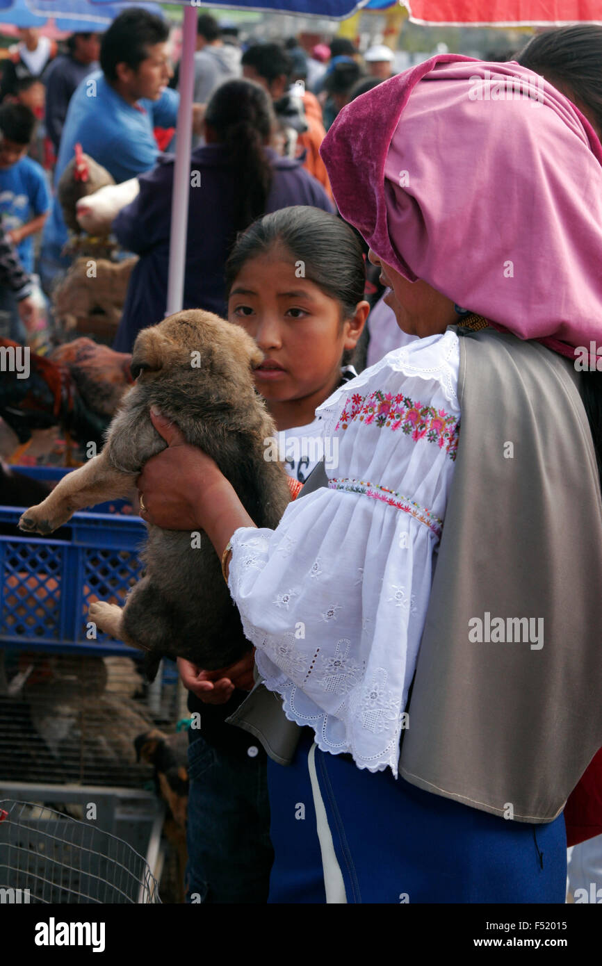 Les peuple Quechua acheter un chiot au marché d'Otavalo, Equateur, Amérique du Sud Banque D'Images