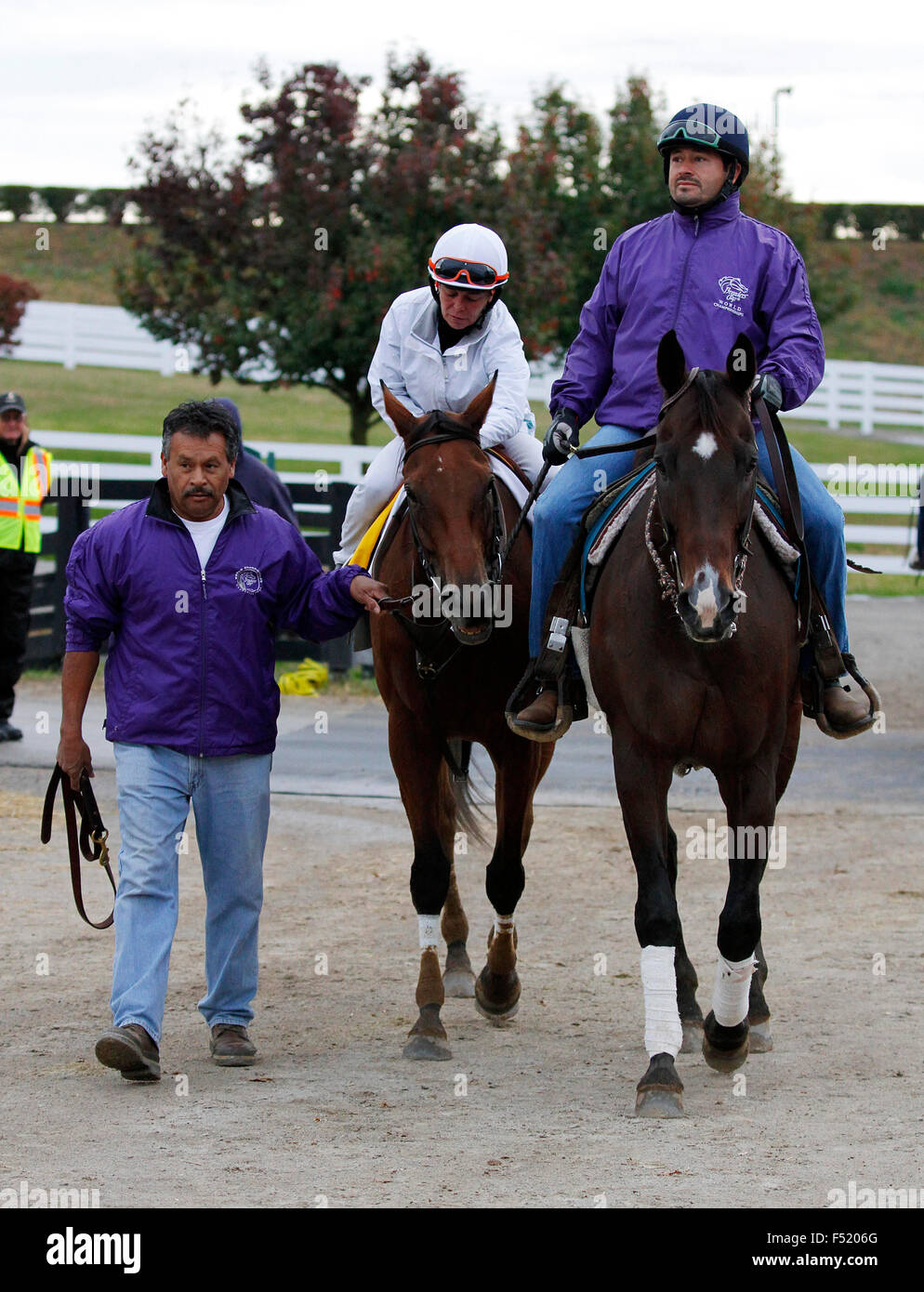 Lexington, Kentucky, USA. 26Th Oct, 2015. 26 octobre 2015 : Beholder crossing Road Riz sur son chemin de retour à l'étable après son dernier travail pour la Breeder's Cup Classic. Spectateur, formés par Richard Mandella, et administré par B. Wayne Hughes, saisi dans le Breeder's Cup Classic 1 e année 5 000 000 $, et la Breeder's Cup Quenouille 2 000 000 $. Candice Chavez/ESW/CSM/Alamy Live News Banque D'Images