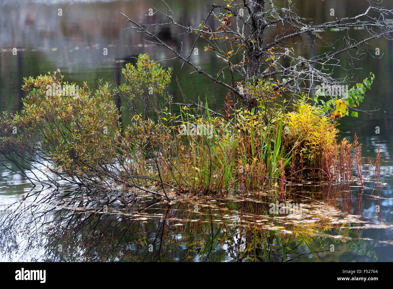 Vue sur un lac en couleurs d'automne Banque D'Images