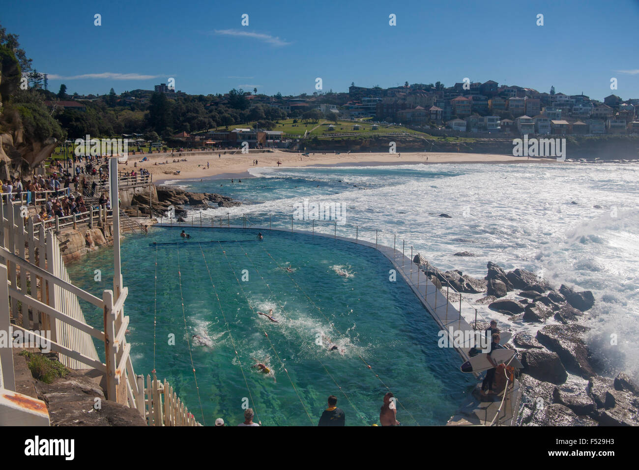 Bains de Mer Bronte piscine avec plage en arrière-plan Sydney NSW Australie Nouvelle Galles du Sud Banque D'Images