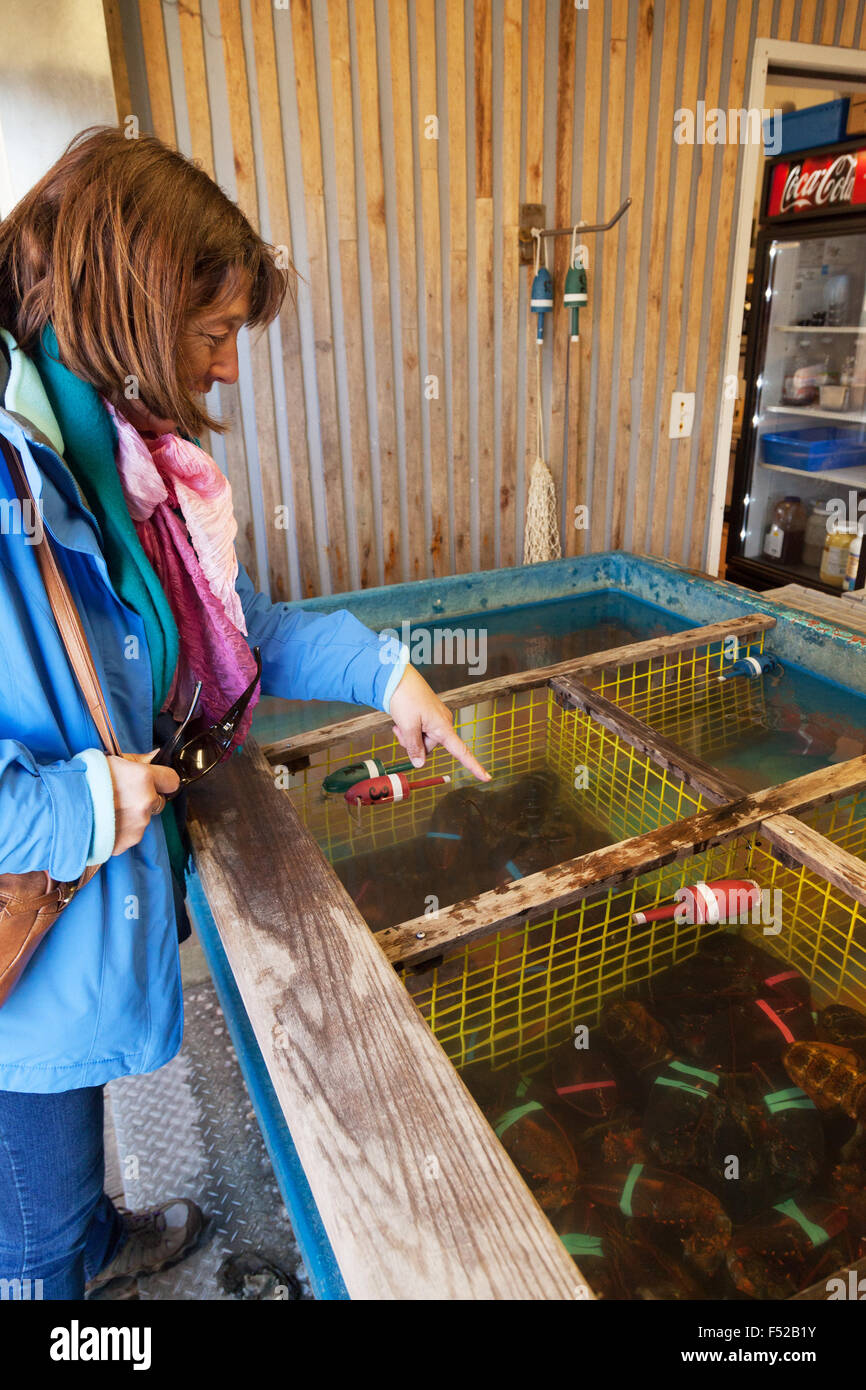 Une femme d'âge moyen le choix d'un homard dans un restaurant, Bar Harbor, Maine USA Banque D'Images