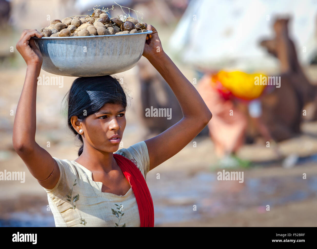 Jeune femme indienne portant un bassin, sur la tête de la bouse de chameau recueillies pour usage comme combustible lors de l'assemblée juste chameau. Banque D'Images