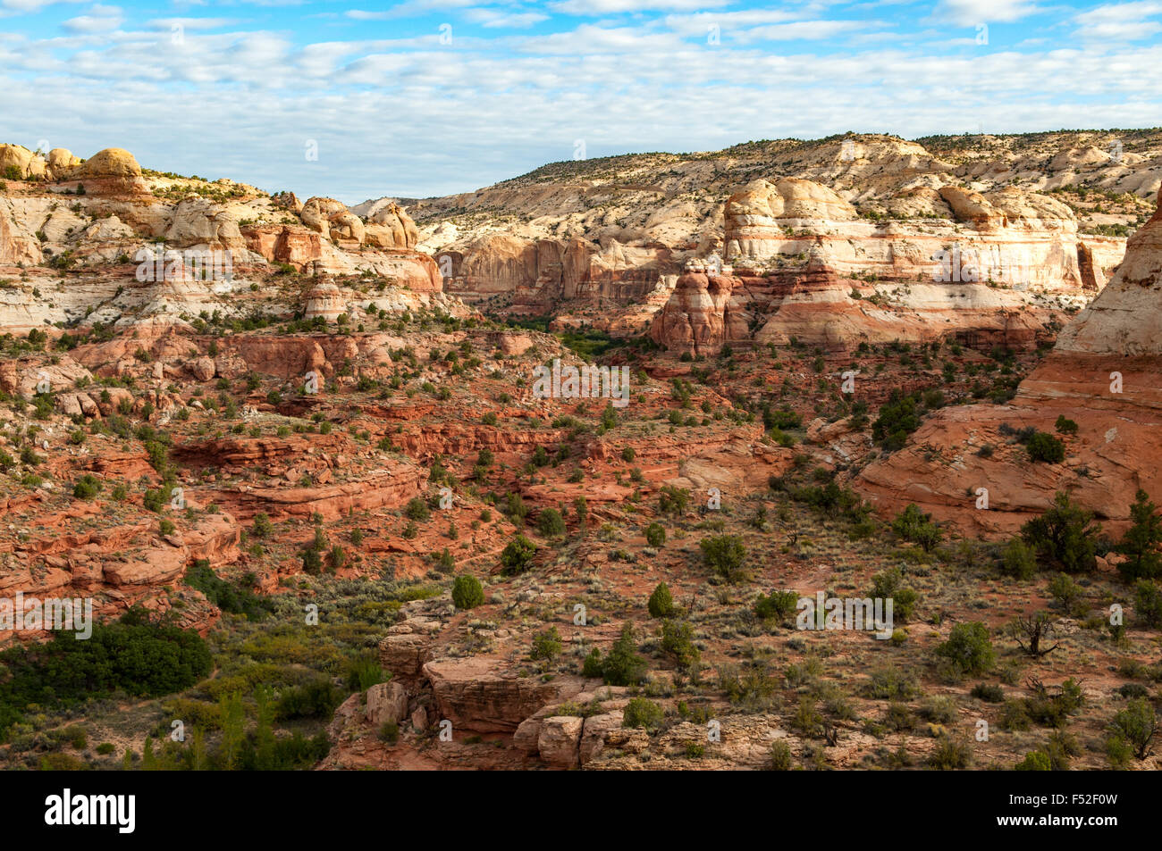 Escalante valley, Grand Staircase Escalante National Monument, Utah, USA Banque D'Images