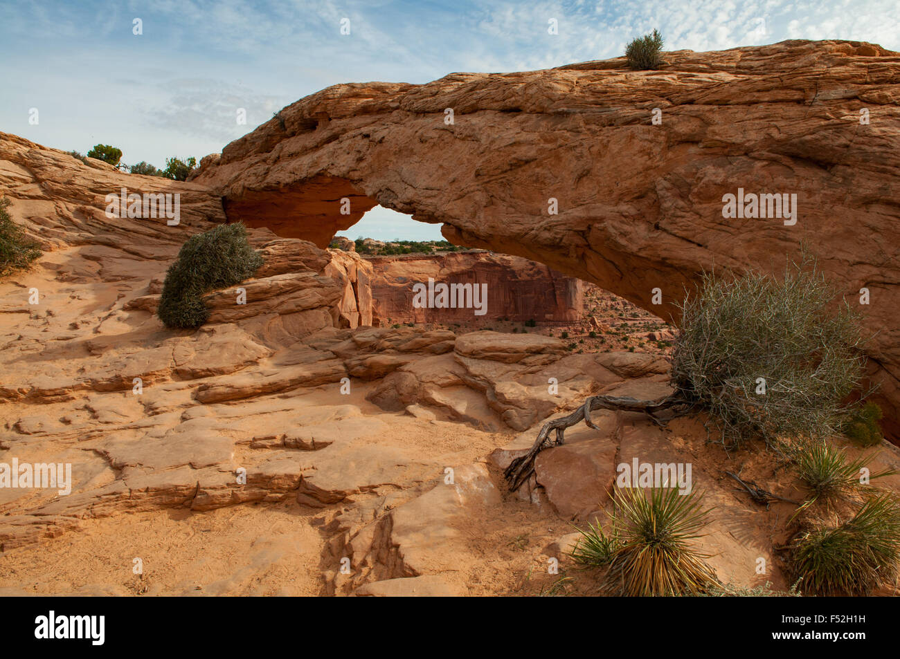 Mesa Arch, Canyonlands NP, Utah, USA Banque D'Images