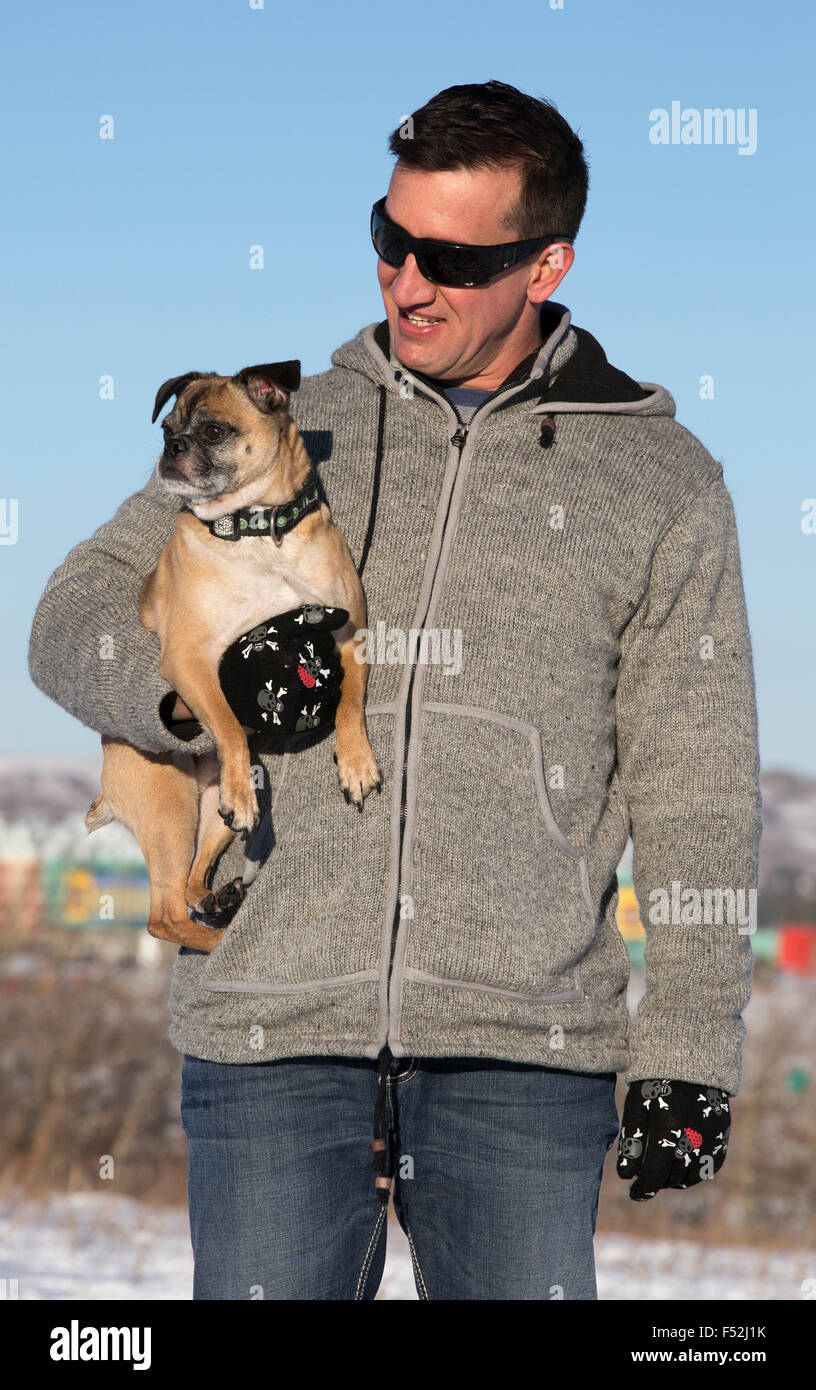 Man holding Bugg dog in city park (croisement entre Boston Terrier Pug) et Banque D'Images