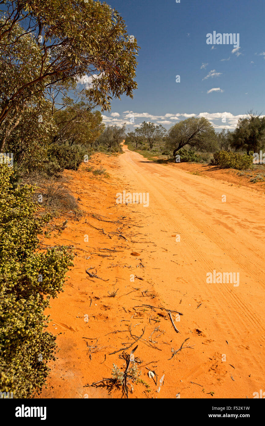 Longue route de sable rouge, bordée par des forêts indigènes, qui s'étend à l'horizon et ciel bleu à Mungo National Park dans l'arrière-pays australien Banque D'Images