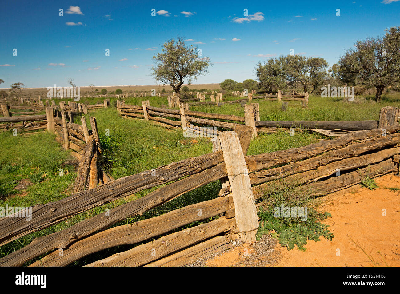 Stock yards fabriqués à partir de pin gris dans l'outback australien, cyprès de paysage après la pluie l'herbe émeraude à l'ancienne gare en Zanci Mungo National Park Banque D'Images