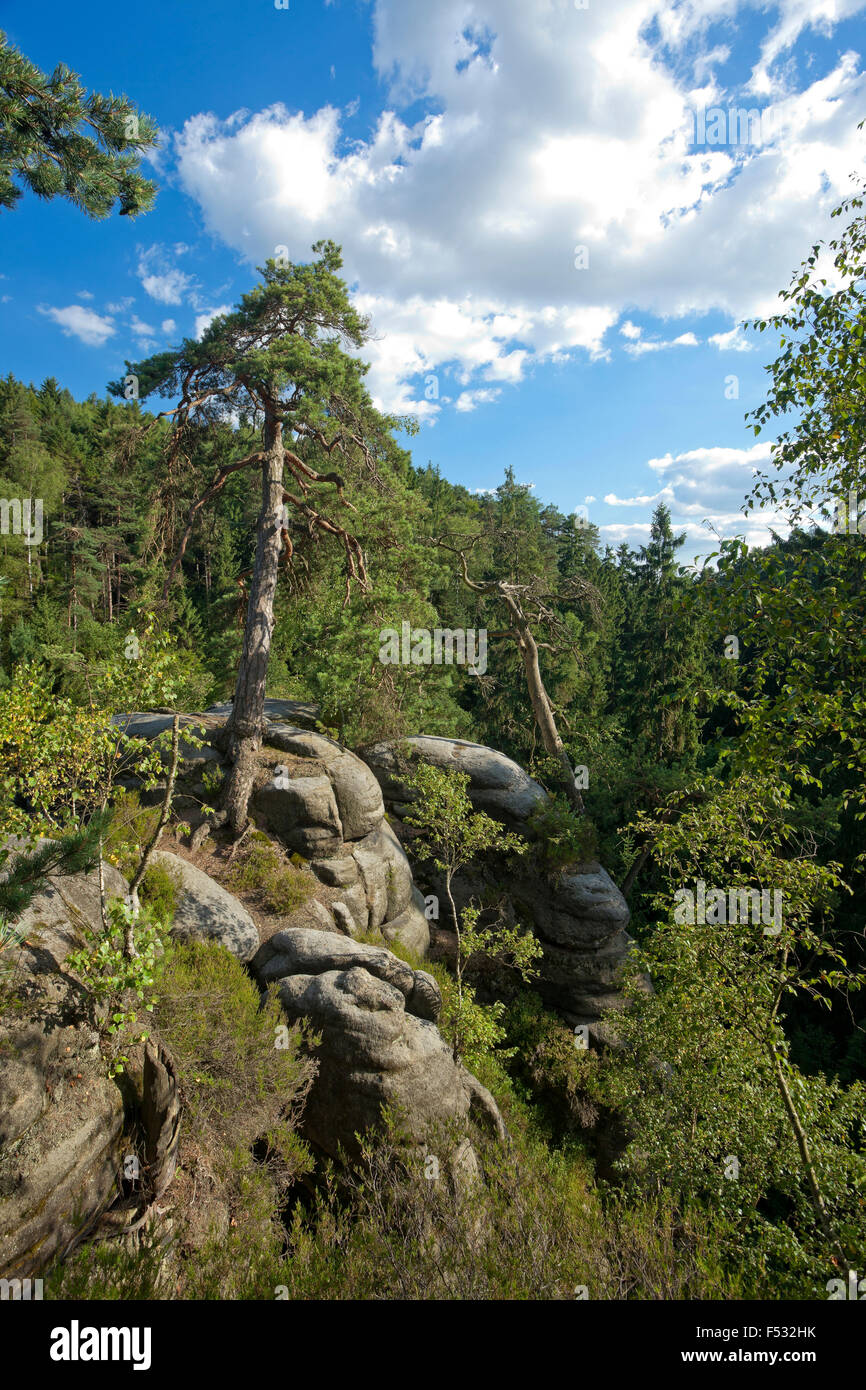 L'Europe, l'Allemagne, la Saxe, la Suisse saxonne Banque D'Images