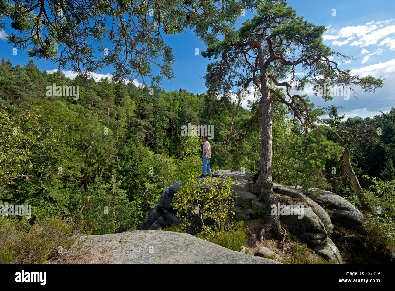 L'Europe, l'Allemagne, la Saxe, la Suisse saxonne Banque D'Images