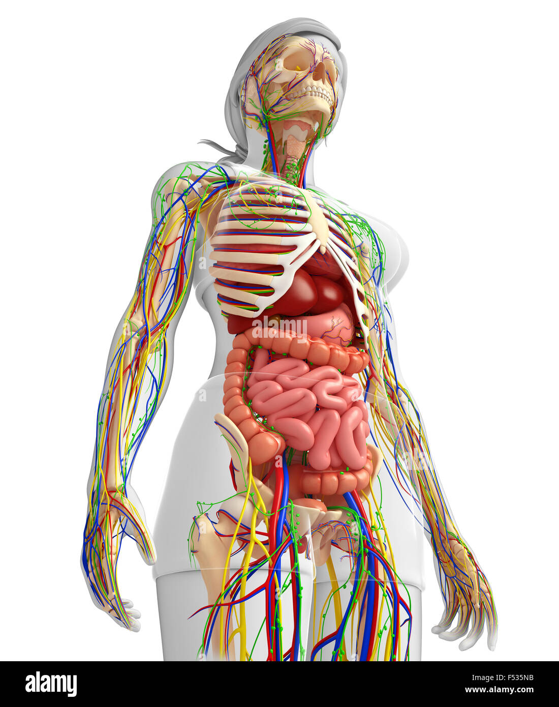 La weirdo de la santé par Roxy Mainville | Saint-Tite QC, image size:1100x1390
