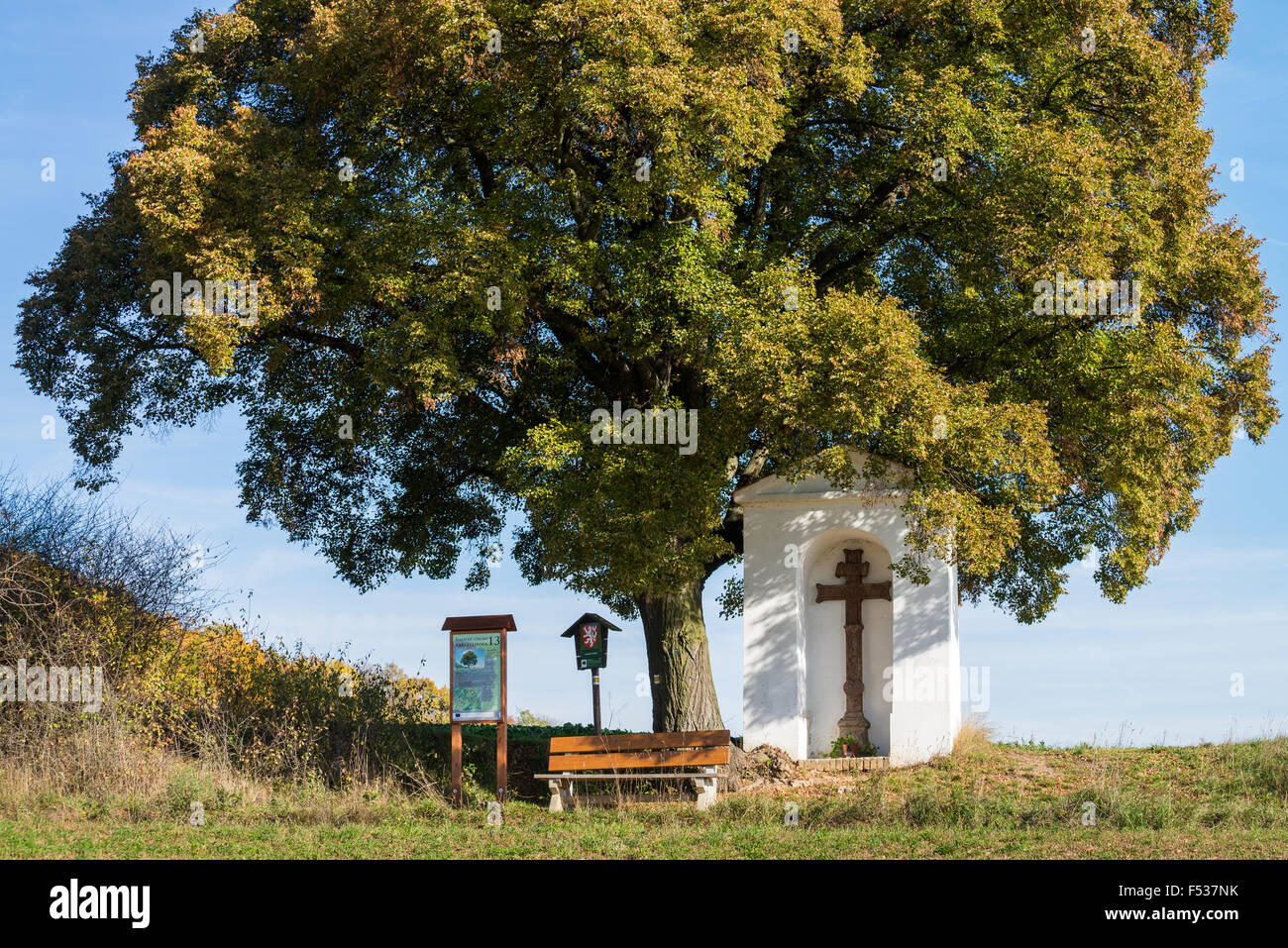 Calvaire avec arbre de mémoire à l'automne, la République tchèque, la Bohême, l'UE, l'Europe Banque D'Images