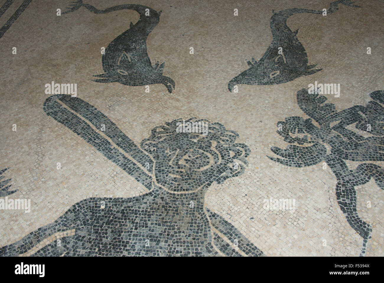 L'Italie, d'Herculanum. Couvert de cendres lorsque Mt. Éruption du Vésuve, en 79 après J.-C., où il est resté enterré depuis plus de 1 600 ans. Womans bath house, détail de mosaïque. L'UNESCO Banque D'Images