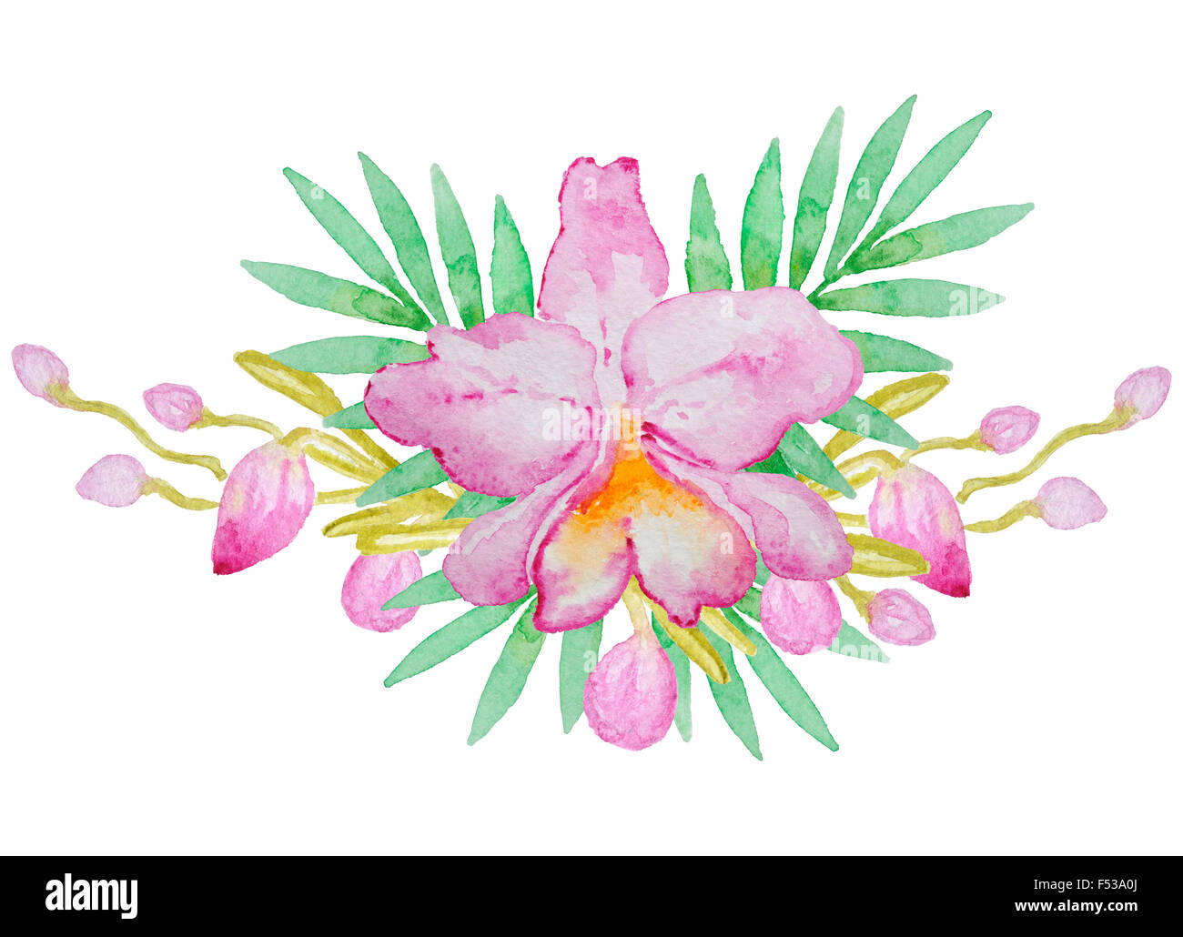 Aquarelle orchidée rose dessiné à la main et de feuilles de palmier Banque D'Images