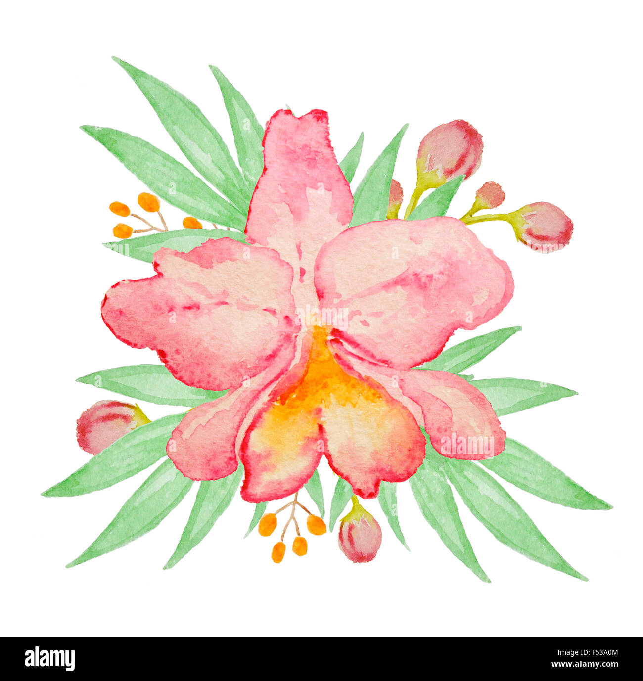 Aquarelle orchidée rose dessiné à la main et de feuilles de palmier Banque D'Images