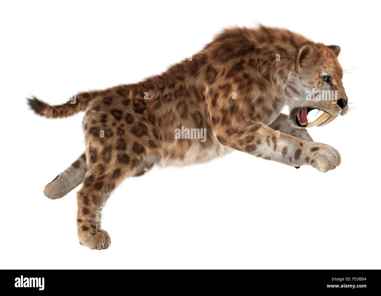 Numérique 3D render of a big cat sabertooth isolé sur fond blanc Banque D'Images
