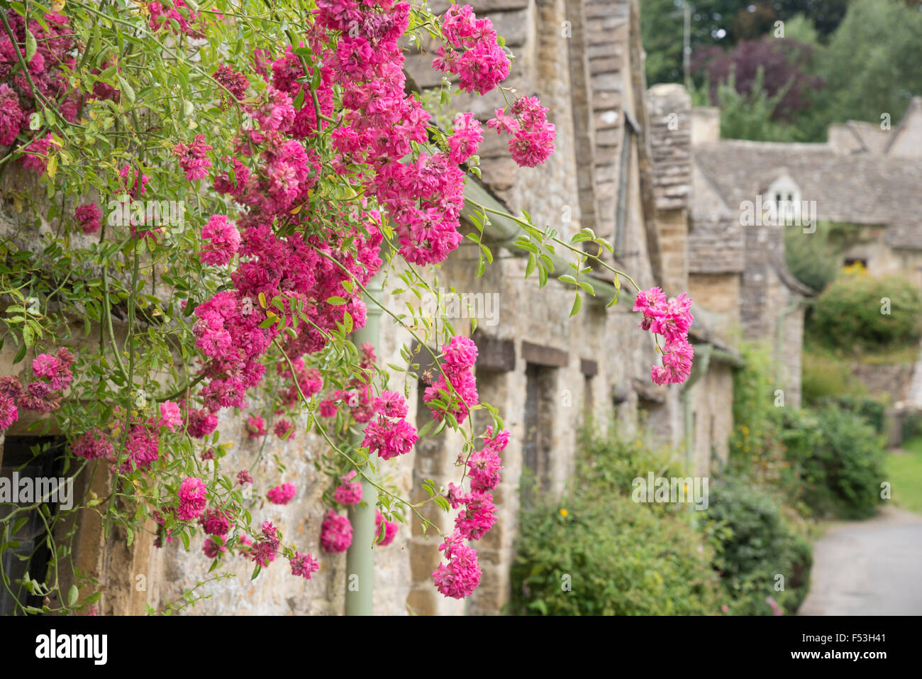 Fleurs suspendues dans les Cotswolds Banque D'Images