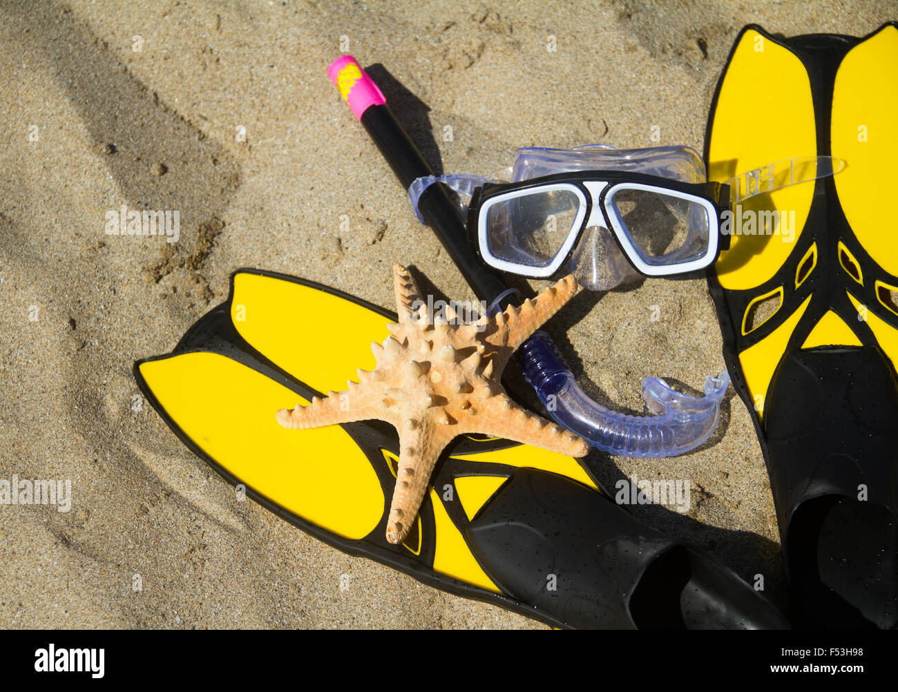 L'équipement de plongée sur la plage avec les étoiles de mer Banque D'Images