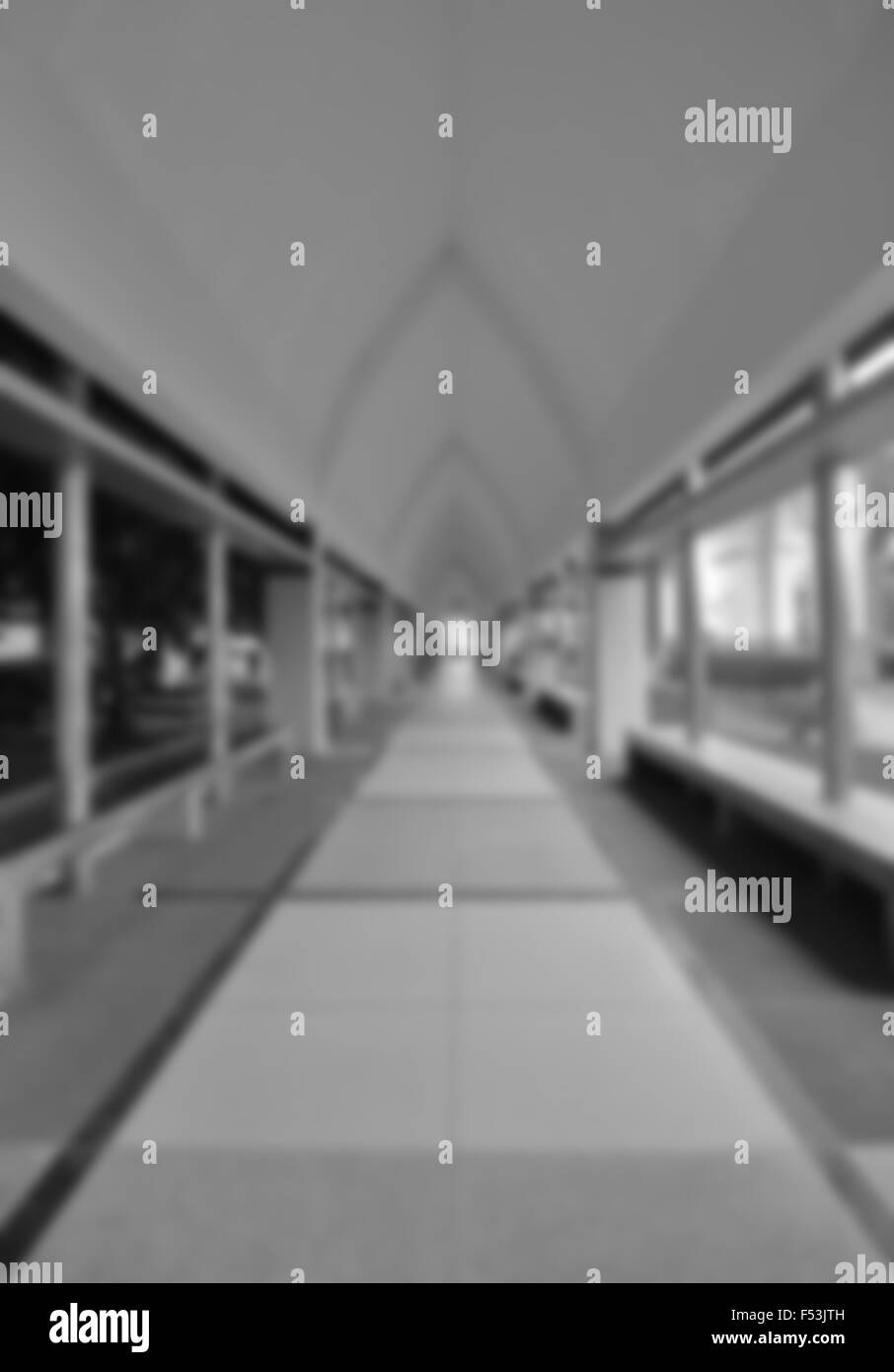 Image floue de couloir vide entre le jardin et bâtiment (fond monochrome) Banque D'Images Image floue de couloir vide entre le jardin et bâtiment (fond monochrome) Banque D'Images
